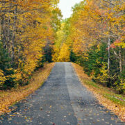 Maine Autumn Colors