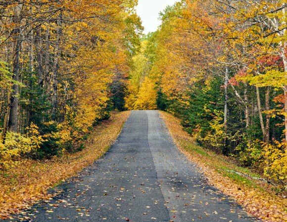 Maine:  Fall Colors