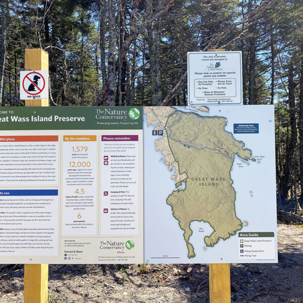 Great Wass Island Maine