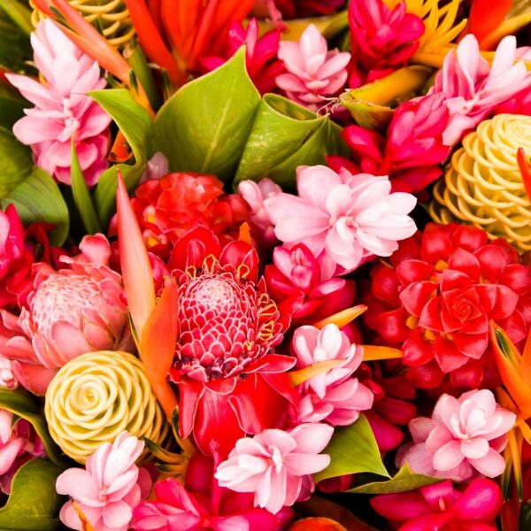 Jonesport Beals Garden Club